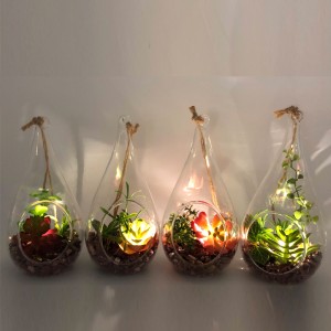 LED-Glas-Tischplatte-dekorative künstliche saftige Anlagen mit Kugel-Anzeigen-Vase