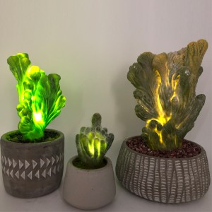 LED künstlicher Kaktus im dekorativen Glastopf Sukkulenten Dekoration